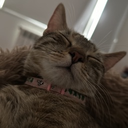 Max